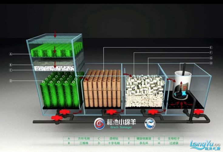 如何維持過背金龍魚的水溫穩定，如何維持過背金龍魚水溫穩定