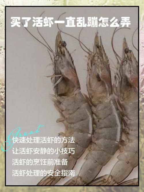 如何處理和消毒紅龍的食物，如何處理和消毒紅龍的食物思考完成