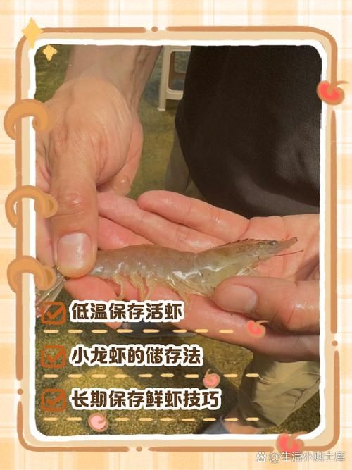 如何處理和消毒紅龍的食物，如何處理和消毒紅龍的食物思考完成