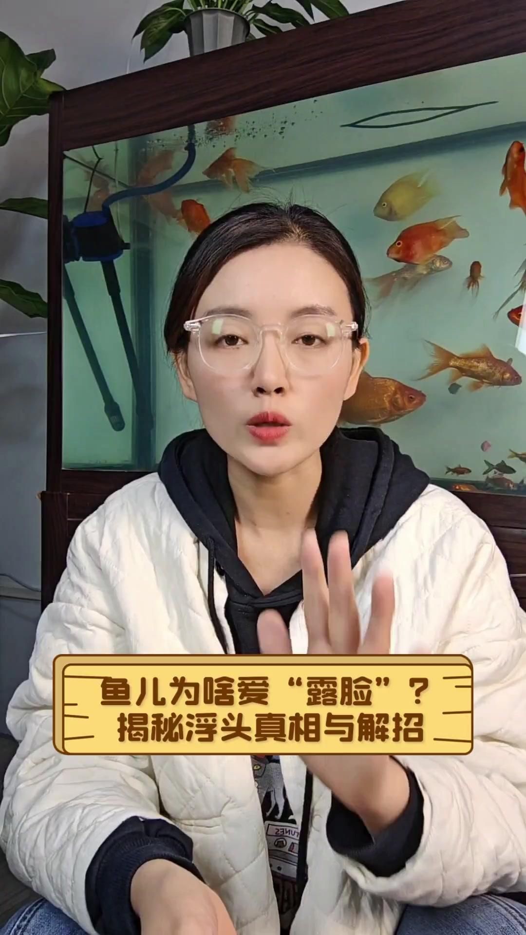 當(dāng)魚(yú)出現(xiàn)浮頭現(xiàn)象的時(shí)候應(yīng)該怎么辦，當(dāng)魚(yú)類出現(xiàn)浮頭現(xiàn)象時(shí)應(yīng)該怎么辦，魚(yú)類浮頭應(yīng)急處理清單