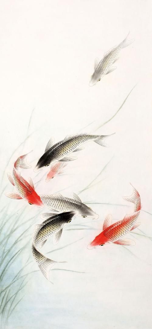 年魚高清大圖有哪些來源，年魚高清大圖有哪些來源，