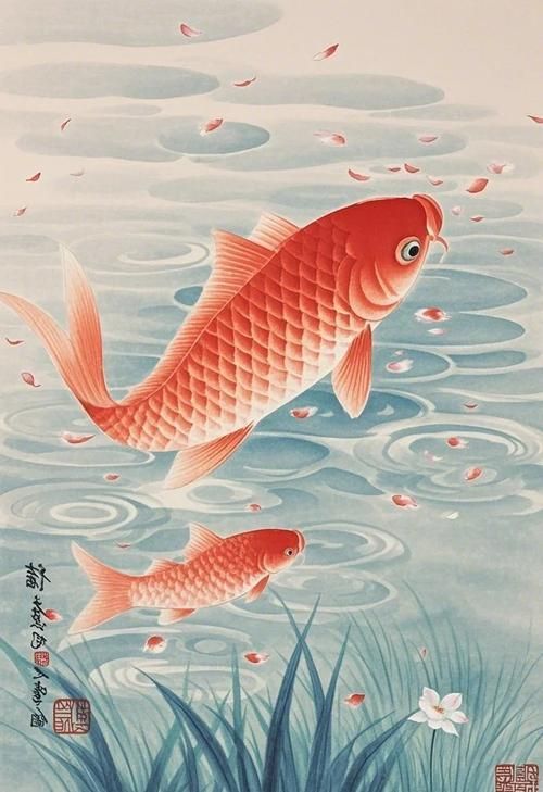 年魚高清大圖有哪些來源，年魚高清大圖有哪些來源，