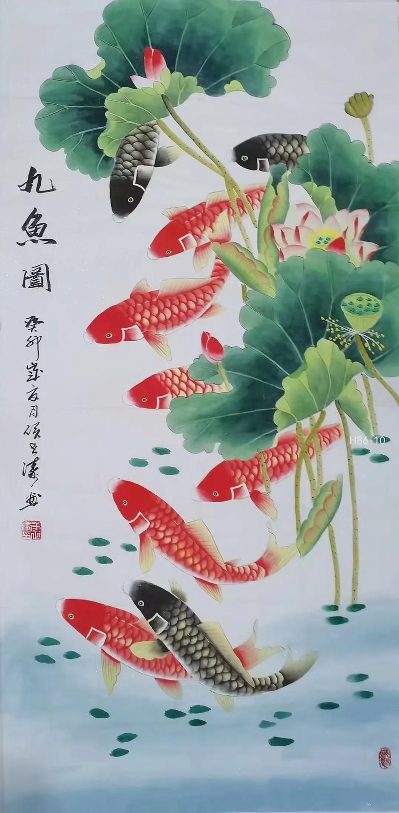 年魚高清大圖有哪些來源，年魚高清大圖有哪些來源，