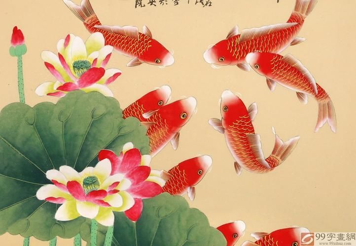 年魚高清大圖有哪些來源，年魚高清大圖有哪些來源，