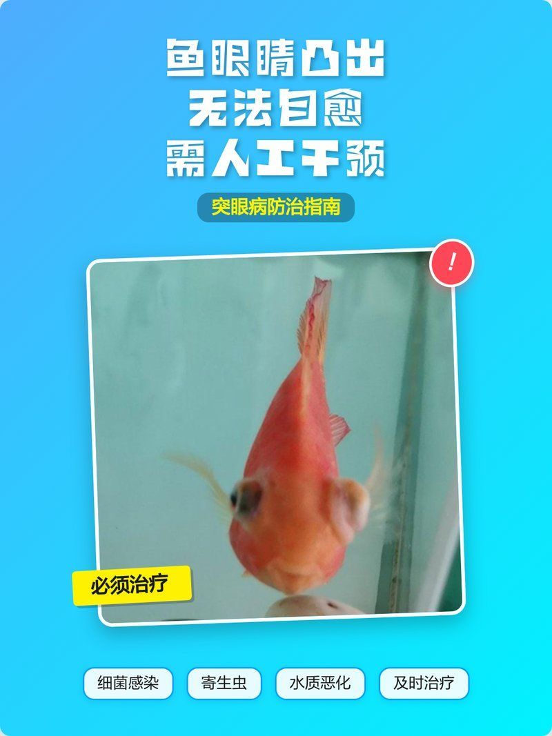 有哪些藥物可以治療魚突眼，哪些藥物可以治療魚突眼