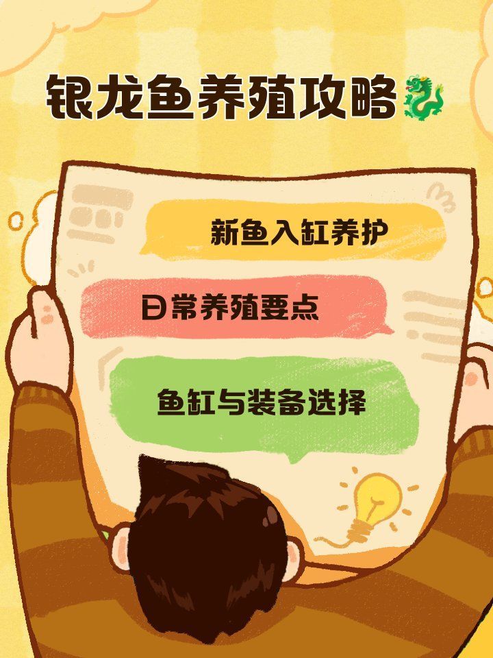 如何判斷龍魚是否適應(yīng)了新缸，如何判斷龍魚是否適應(yīng)新缸