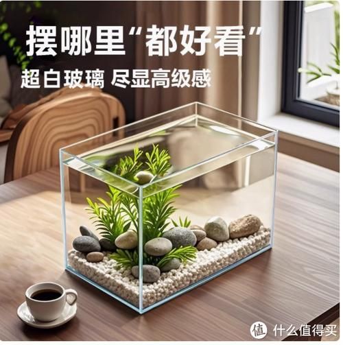 如何判斷魚缸是否超白玻璃？，判斷魚缸是否使用超白玻璃的方法包括觀察其表面是否平滑、有無氣泡和雜質