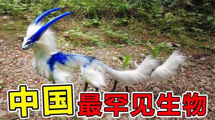 能否提供這些生物的圖片，魚類浮頭后如何急救