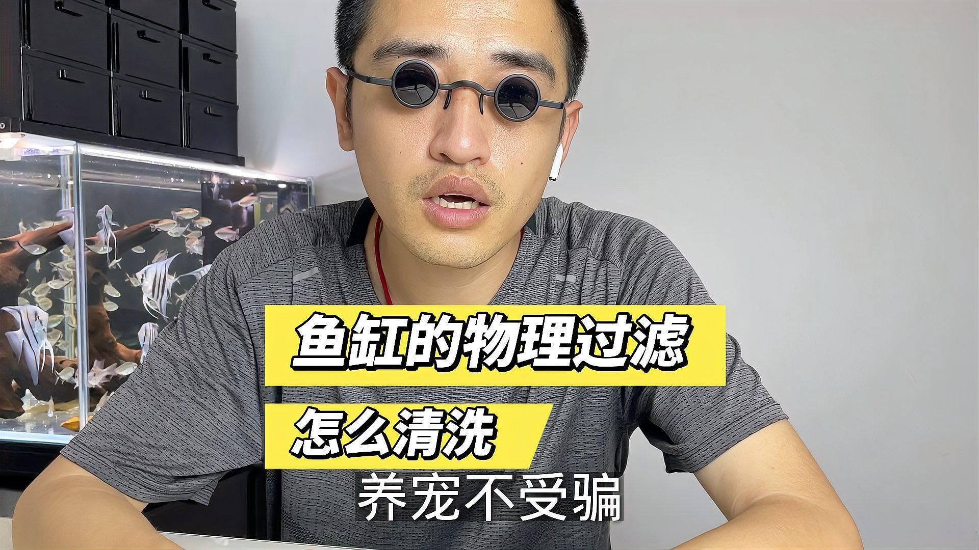 如何預(yù)防魚爛尾的發(fā)生，如何科學(xué)預(yù)防觀賞魚爛尾病