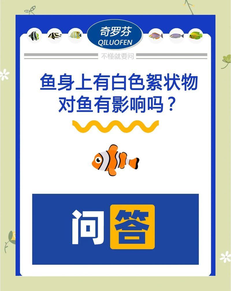 能詳細(xì)說說六角龍魚的水霉病嗎，六角恐龍魚水霉病防治全攻略