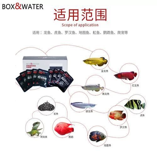 如何預防龍魚患上類似癌癥的疾??？，關于龍魚腫瘤的問題
