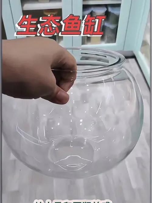 魚(yú)缸養(yǎng)魚(yú)有哪些禁忌