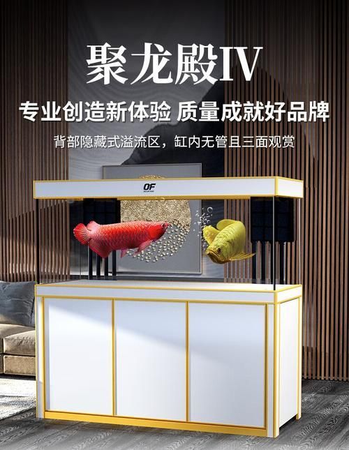 仟湖魚缸的特點是什么？，仟湖魚缸主流型號對比表，幫你快速看清不同系列的核心差異