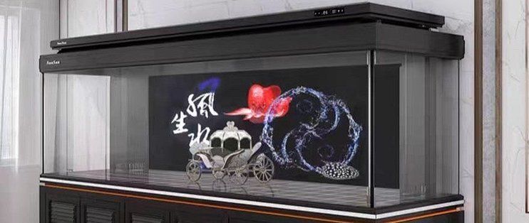 龍魚缸材質(zhì)哪種最好？，龍魚缸材質(zhì)選擇對水質(zhì)和魚類健康至關(guān)重要
