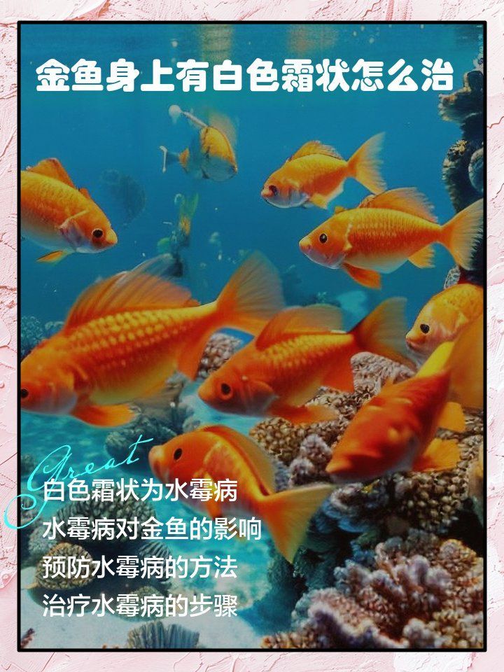 金魚身上有白色霜狀怎么治，寵物生活妙招，金魚身上有白色霜狀怎么治