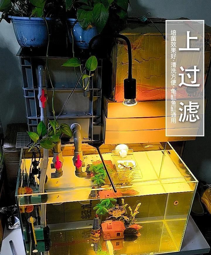 龍魚魚缸過濾系統如何選擇？，龍魚魚缸過濾系統如何選擇