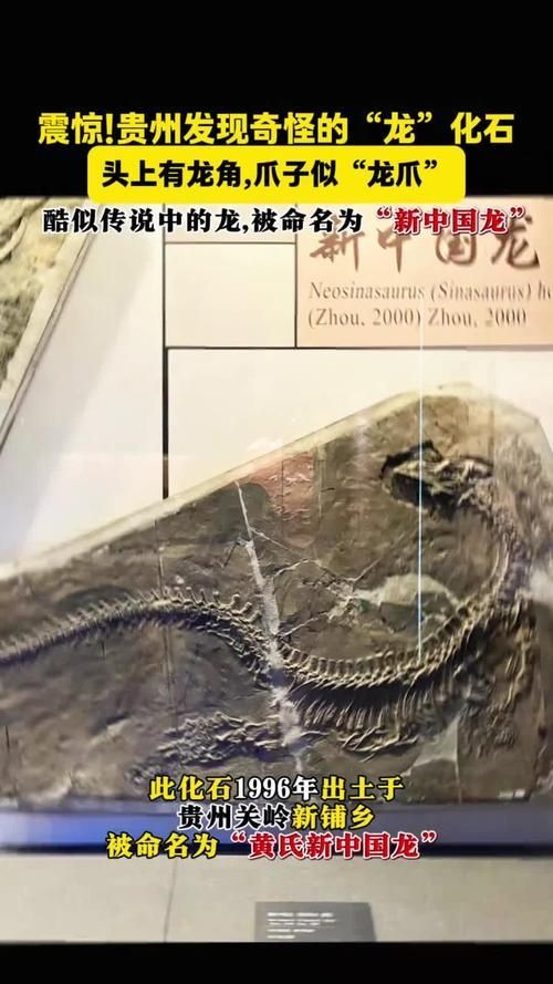 有哪些權(quán)威的黃山龍魚認(rèn)證機(jī)構(gòu)，“黃山龍魚認(rèn)證機(jī)構(gòu)”是否存在權(quán)威的第三方認(rèn)證機(jī)構(gòu)