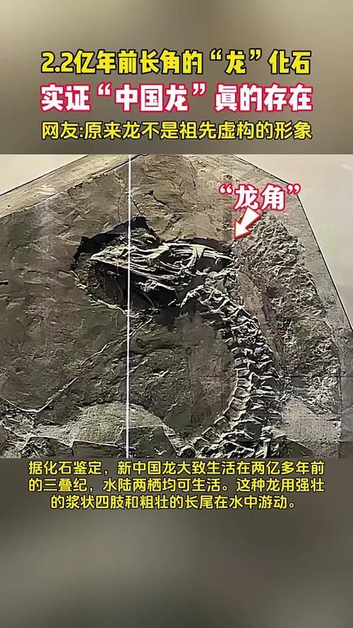 有哪些權(quán)威的黃山龍魚認(rèn)證機(jī)構(gòu)，“黃山龍魚認(rèn)證機(jī)構(gòu)”是否存在權(quán)威的第三方認(rèn)證機(jī)構(gòu)