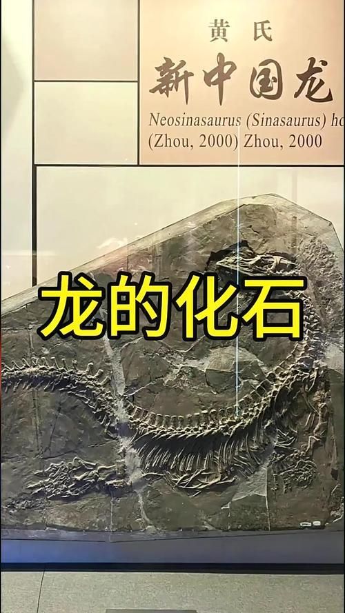 有哪些權(quán)威的黃山龍魚認(rèn)證機(jī)構(gòu)，“黃山龍魚認(rèn)證機(jī)構(gòu)”是否存在權(quán)威的第三方認(rèn)證機(jī)構(gòu)