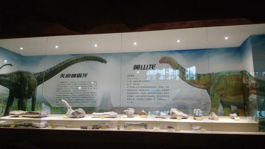 有哪些權(quán)威的黃山龍魚認(rèn)證機(jī)構(gòu)，“黃山龍魚認(rèn)證機(jī)構(gòu)”是否存在權(quán)威的第三方認(rèn)證機(jī)構(gòu)