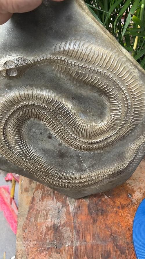 有哪些權(quán)威的黃山龍魚認(rèn)證機(jī)構(gòu)，“黃山龍魚認(rèn)證機(jī)構(gòu)”是否存在權(quán)威的第三方認(rèn)證機(jī)構(gòu)