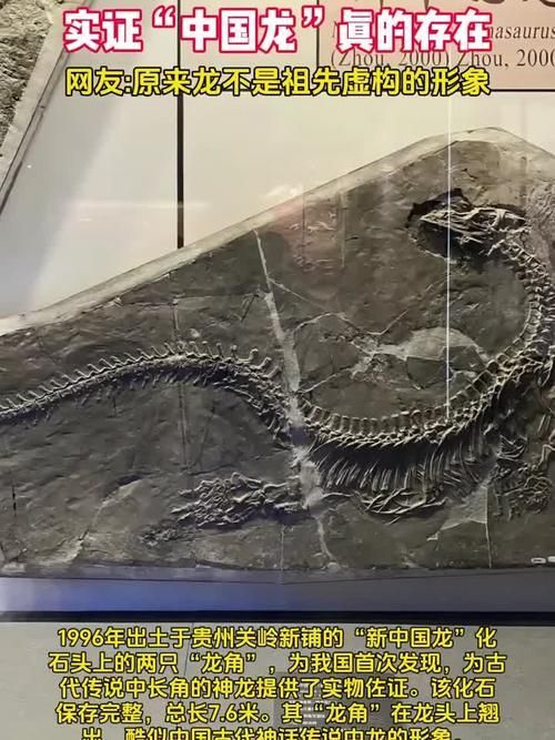 有哪些權(quán)威的黃山龍魚認(rèn)證機(jī)構(gòu)，“黃山龍魚認(rèn)證機(jī)構(gòu)”是否存在權(quán)威的第三方認(rèn)證機(jī)構(gòu)