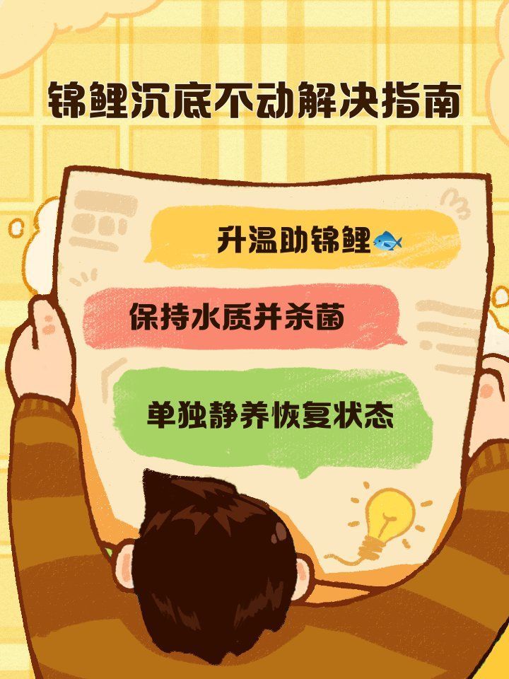 錦鯉沉到底部如何救活，錦鯉沉到底部如何救活，錦鯉沉到底部如何判斷是哪種原因？