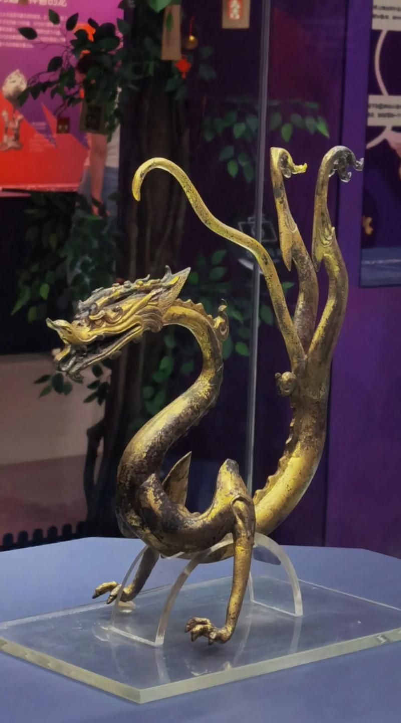 如何區分瑰寶龍和血紅龍
