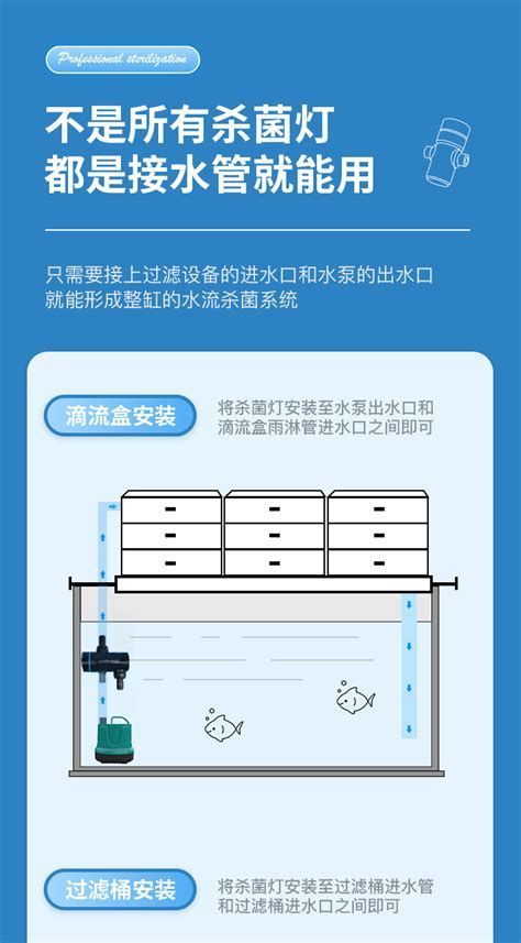 創寧水族，創寧水族是一個怎樣的公司
