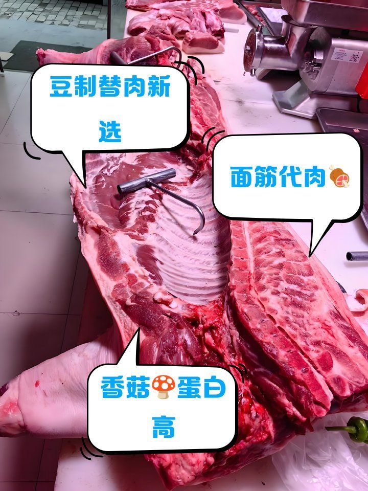 有哪些安全的食物可以替代生豬肉，哪些肉類可以替代生豬肉