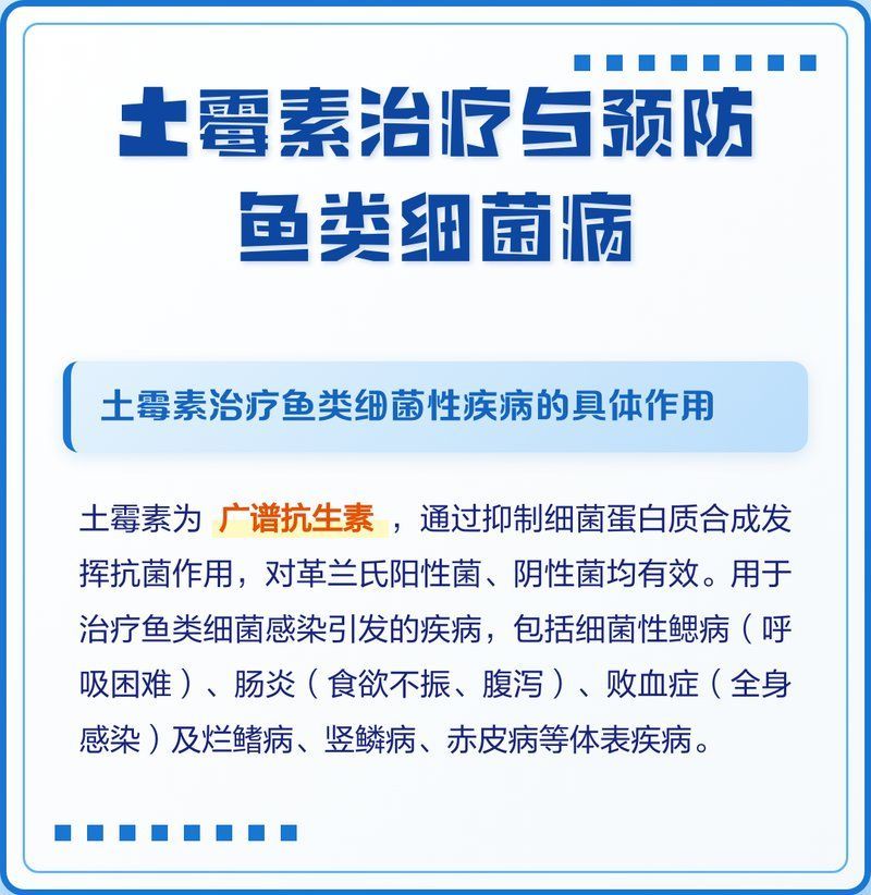 哪些抗生素對魚細(xì)菌感染最有效，抗生素對魚類細(xì)菌感染最有效的三大抗生素