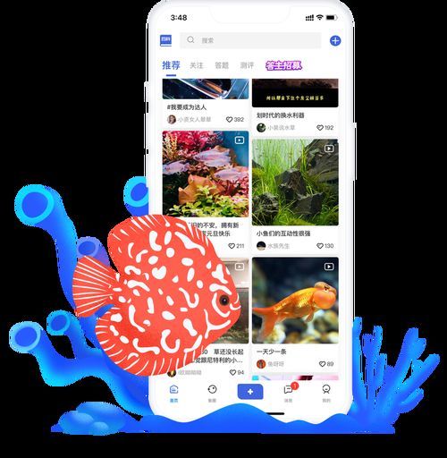 哪個觀賞魚交易平臺app最受歡迎，哪個觀賞魚交易平臺app最受歡迎、最受歡迎的觀賞魚交易平臺app