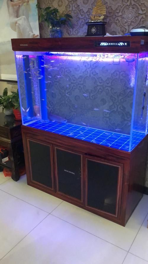 夜間關燈后，龍魚會有哪些反應？，夜間關燈后龍魚會有哪些反應？