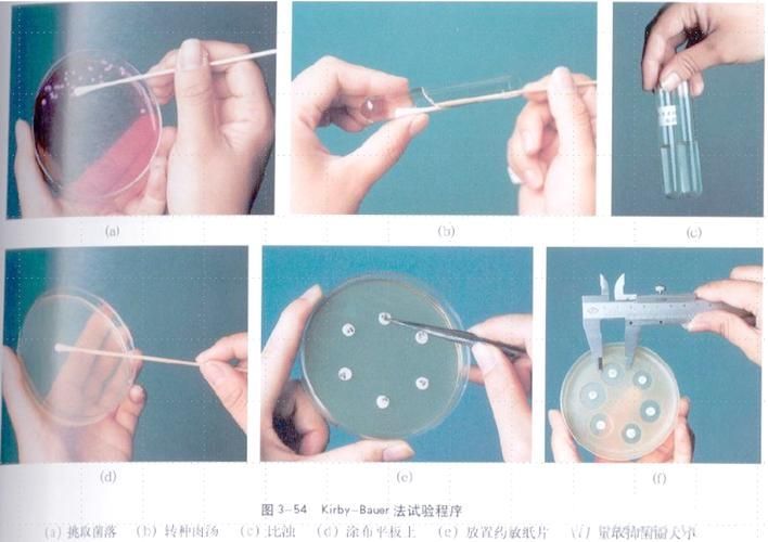 哪些魚對土霉素敏感，arxiv論文助手arxiv論文助手arxiv論文助手