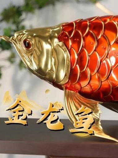 龍魚擺件有哪些款式，龍魚擺件的款式及款式詳解