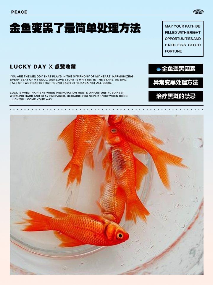 金魚發黑后多久會完全恢復，小魚兒天地，金魚變黑了怎么辦