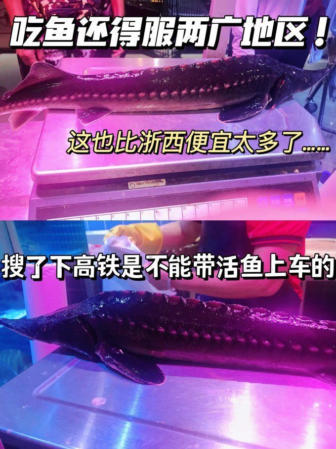云龍魚的最佳烹飪方法是什么？，云龍魚的最佳烹飪方法是什么云龍魚的最佳烹飪方法詳解
