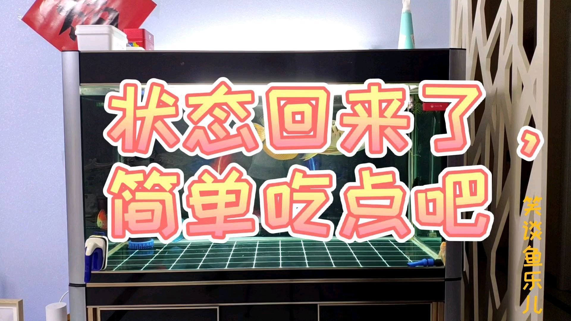 有哪些天然食物可以補充龍魚益生菌？，天然食物補充益生菌的方式