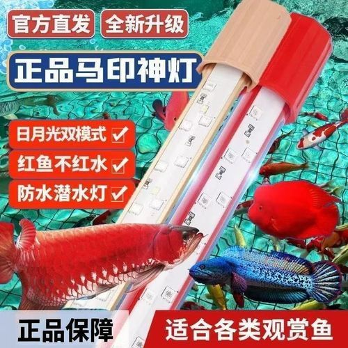 有哪些知名的龍魚(yú)燈品牌推薦？，知名的龍魚(yú)燈品牌推薦，龍魚(yú)燈品牌推薦及選購(gòu)指南