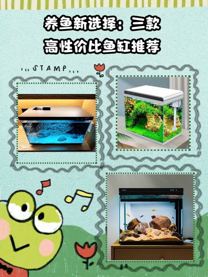 推薦幾款性價比高的魚缸品牌，養魚新選擇:三款高性價比魚缸推薦