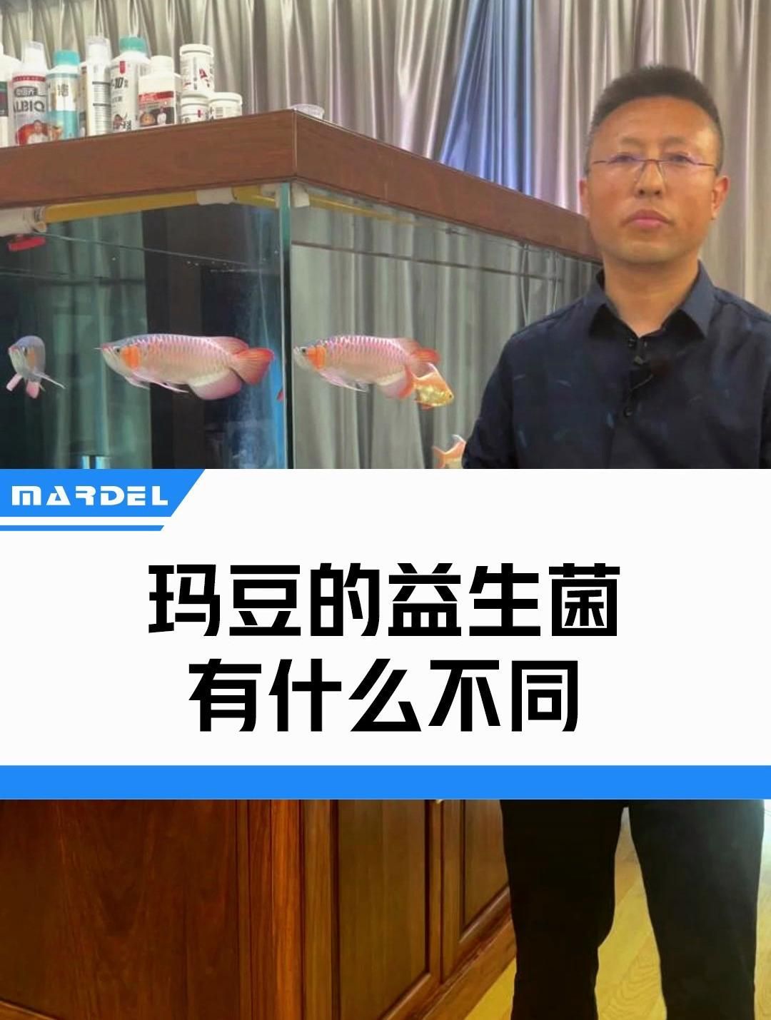 有哪些品牌的龍魚專用益生菌推薦？，龍魚專用益生菌