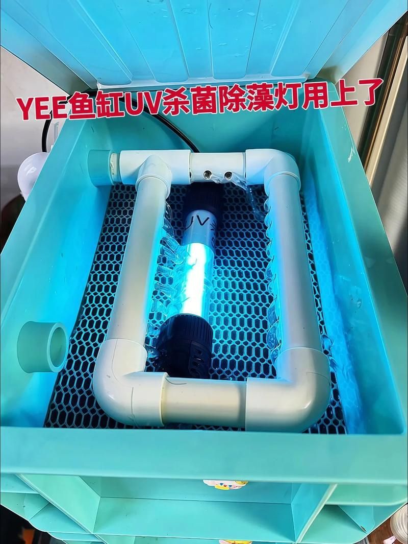 哪些品牌的殺菌燈適合龍魚使用，哪些品牌的殺菌燈適合龍魚使用,龍魚殺菌燈適合龍魚使用