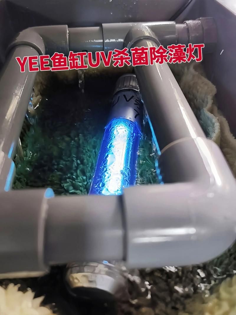 哪些品牌的殺菌燈適合龍魚使用，哪些品牌的殺菌燈適合龍魚使用,龍魚殺菌燈適合龍魚使用