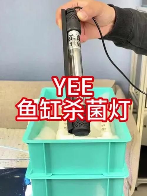 哪些品牌的殺菌燈適合龍魚使用，哪些品牌的殺菌燈適合龍魚使用,龍魚殺菌燈適合龍魚使用