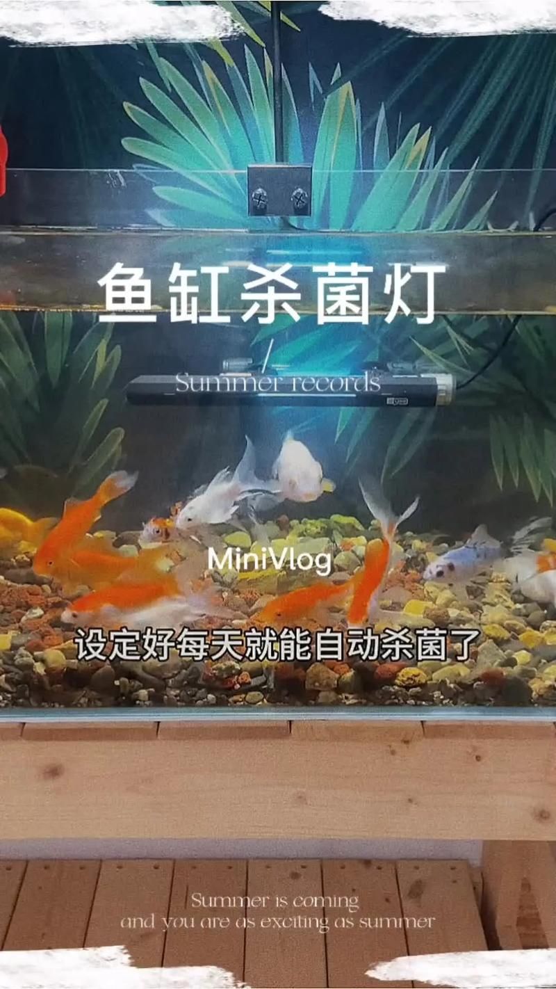 哪些品牌的殺菌燈適合龍魚使用，哪些品牌的殺菌燈適合龍魚使用,龍魚殺菌燈適合龍魚使用