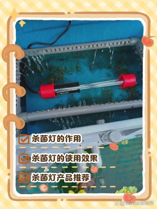 殺菌燈對龍魚疾病有哪些具體效果？，殺菌燈在龍魚養殖中的具體應用