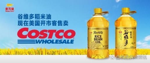 金龍魚的海外業務進展如何？，金龍魚海外業務布局順利