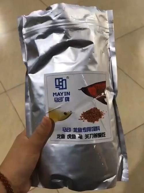 龜增色龍魚最簡單三個步驟，“龜增色龍魚最簡單的三個步驟思解“龜增色龍魚”