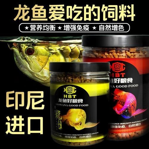 龜增色龍魚最簡單三個步驟，“龜增色龍魚最簡單的三個步驟思解“龜增色龍魚”