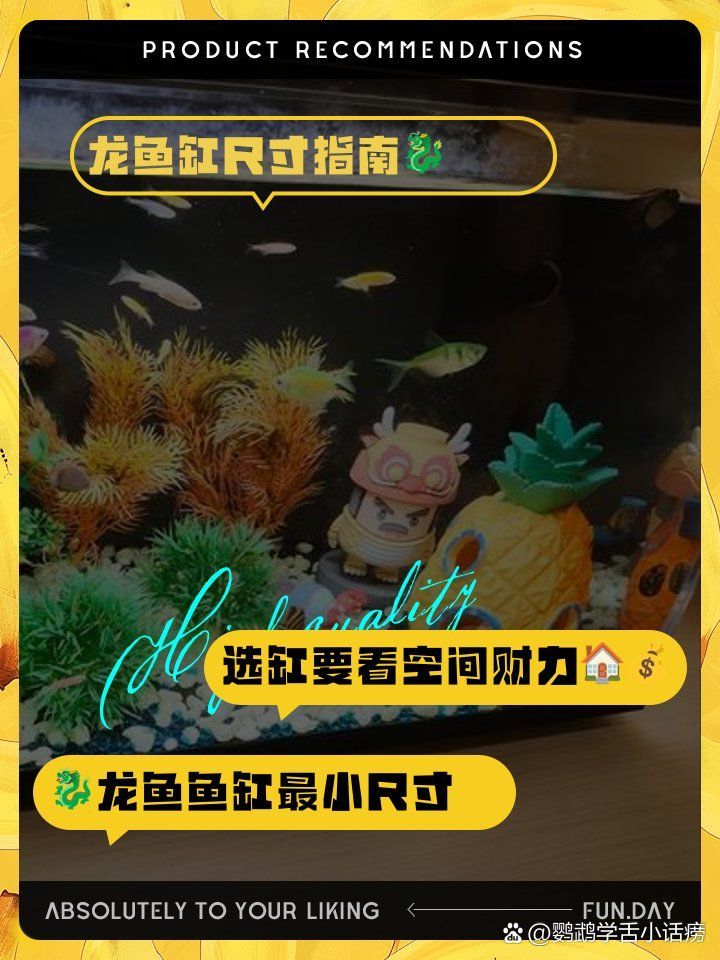 不同品種的龍魚對魚缸寬度有何要求？